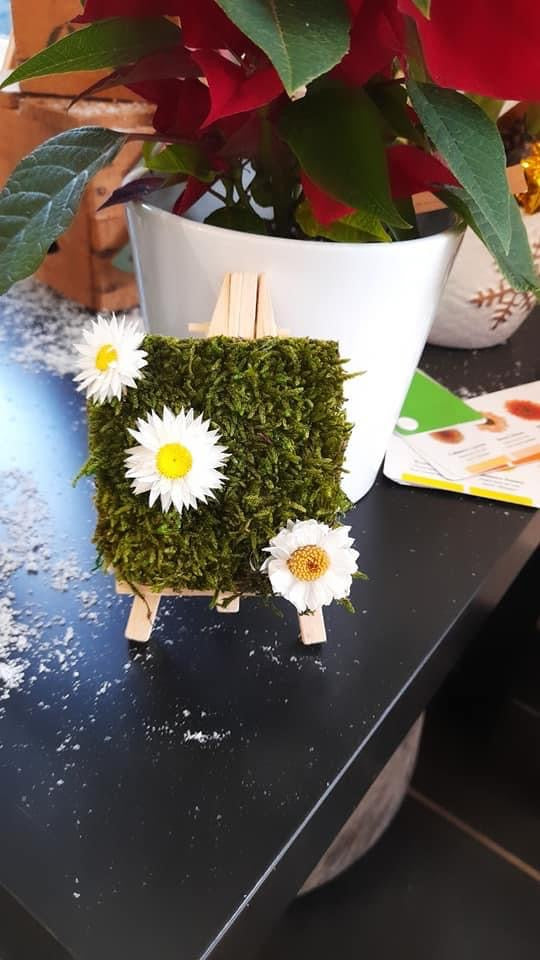 Tableaux et cadres stabilisés