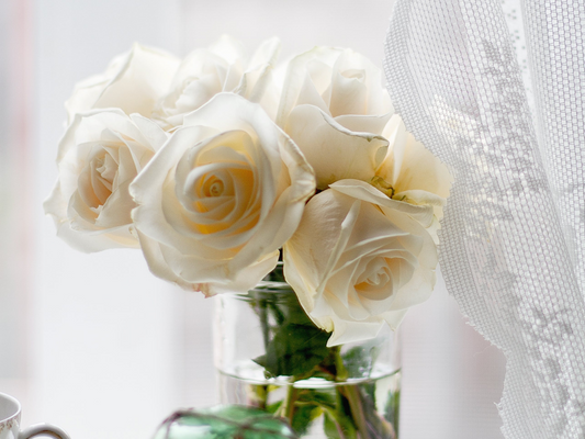 Rose Blanche Avalanche