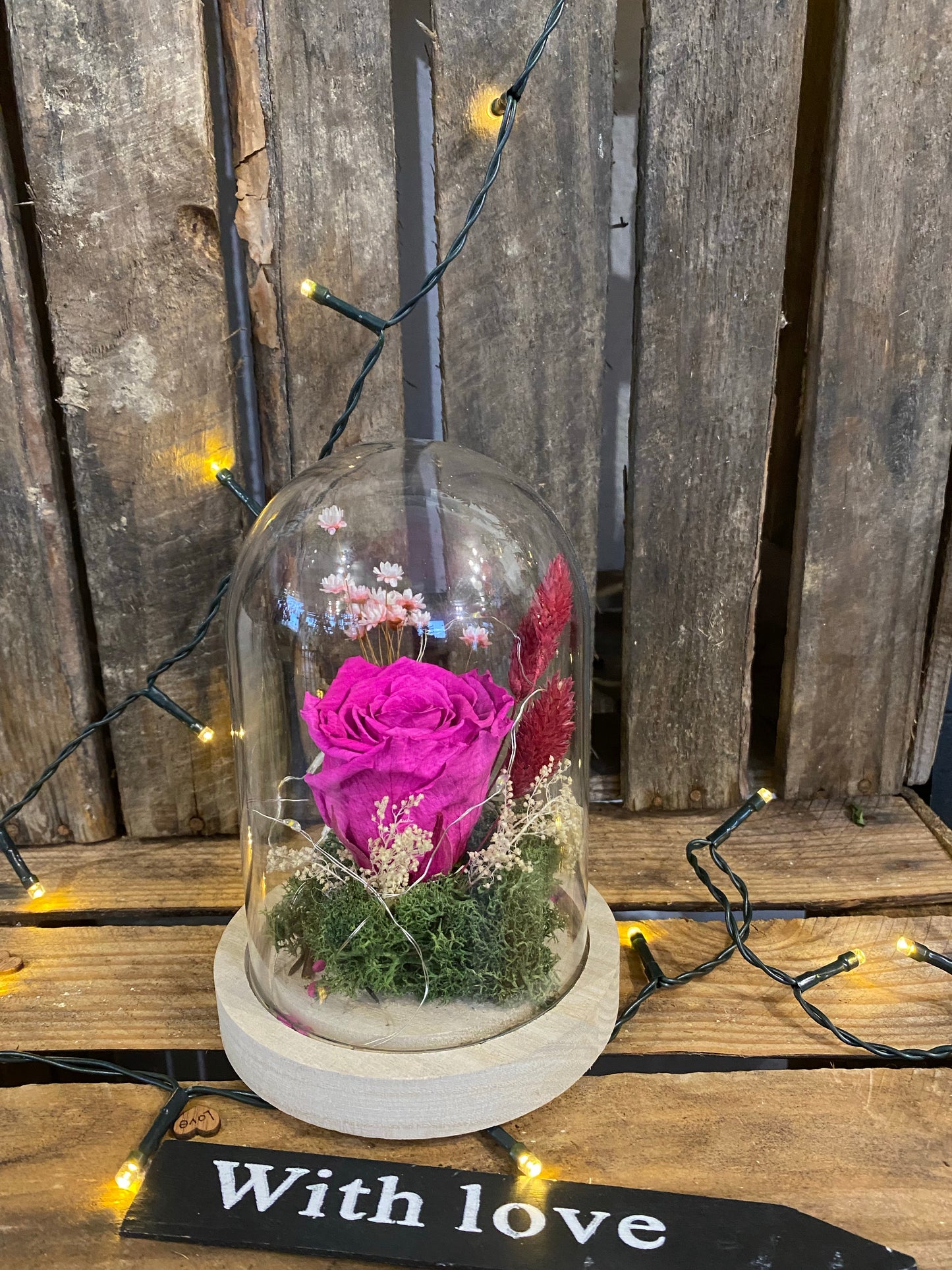 Rose éternelle sous cloche