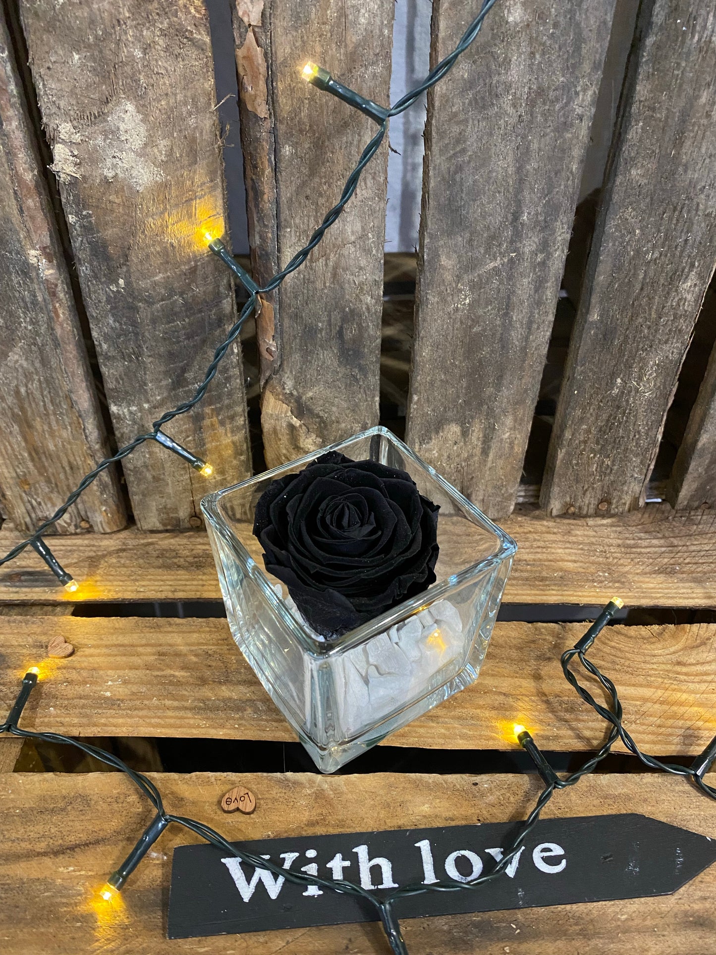 Rose éternelle