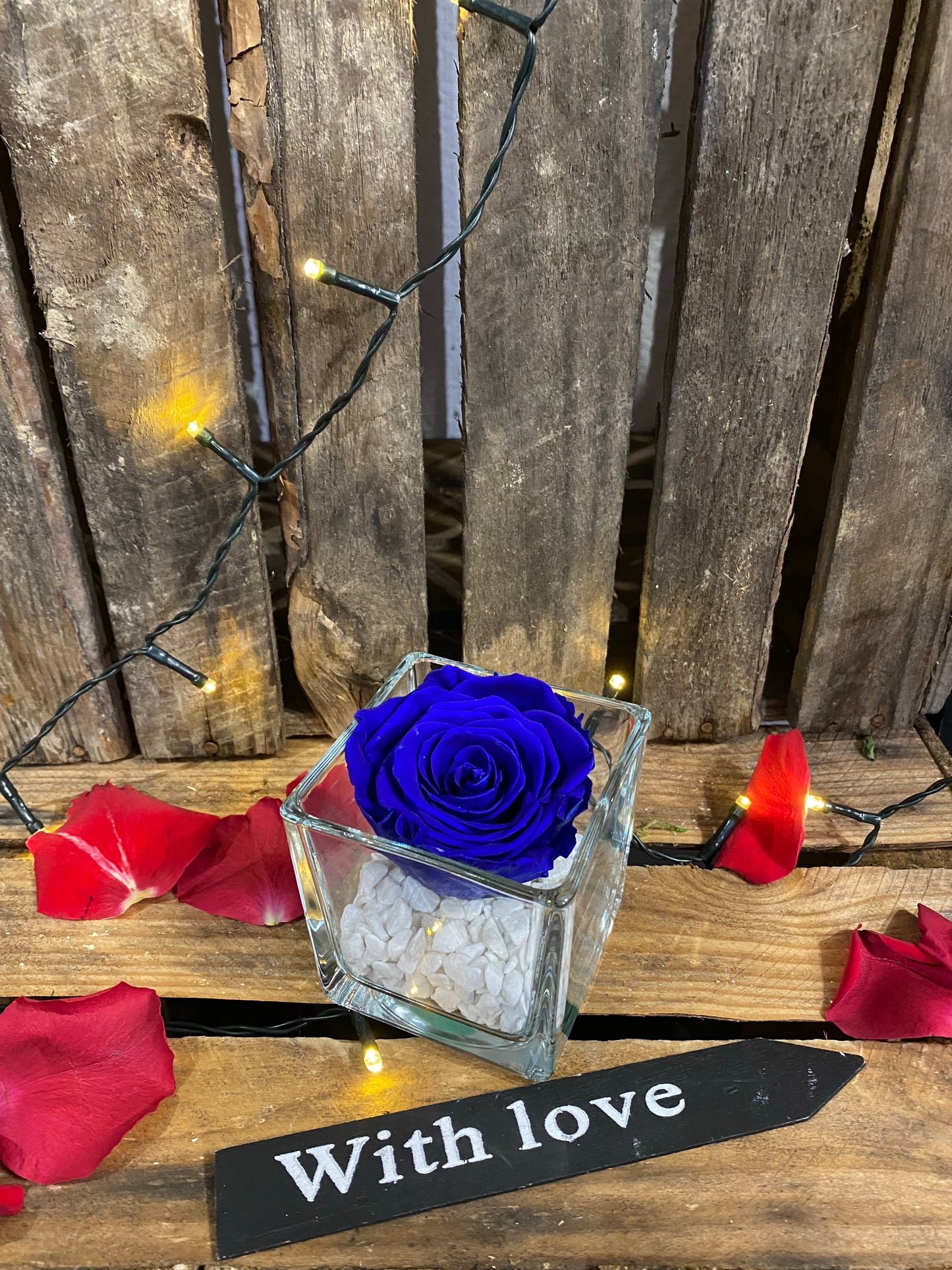 Rose éternelle