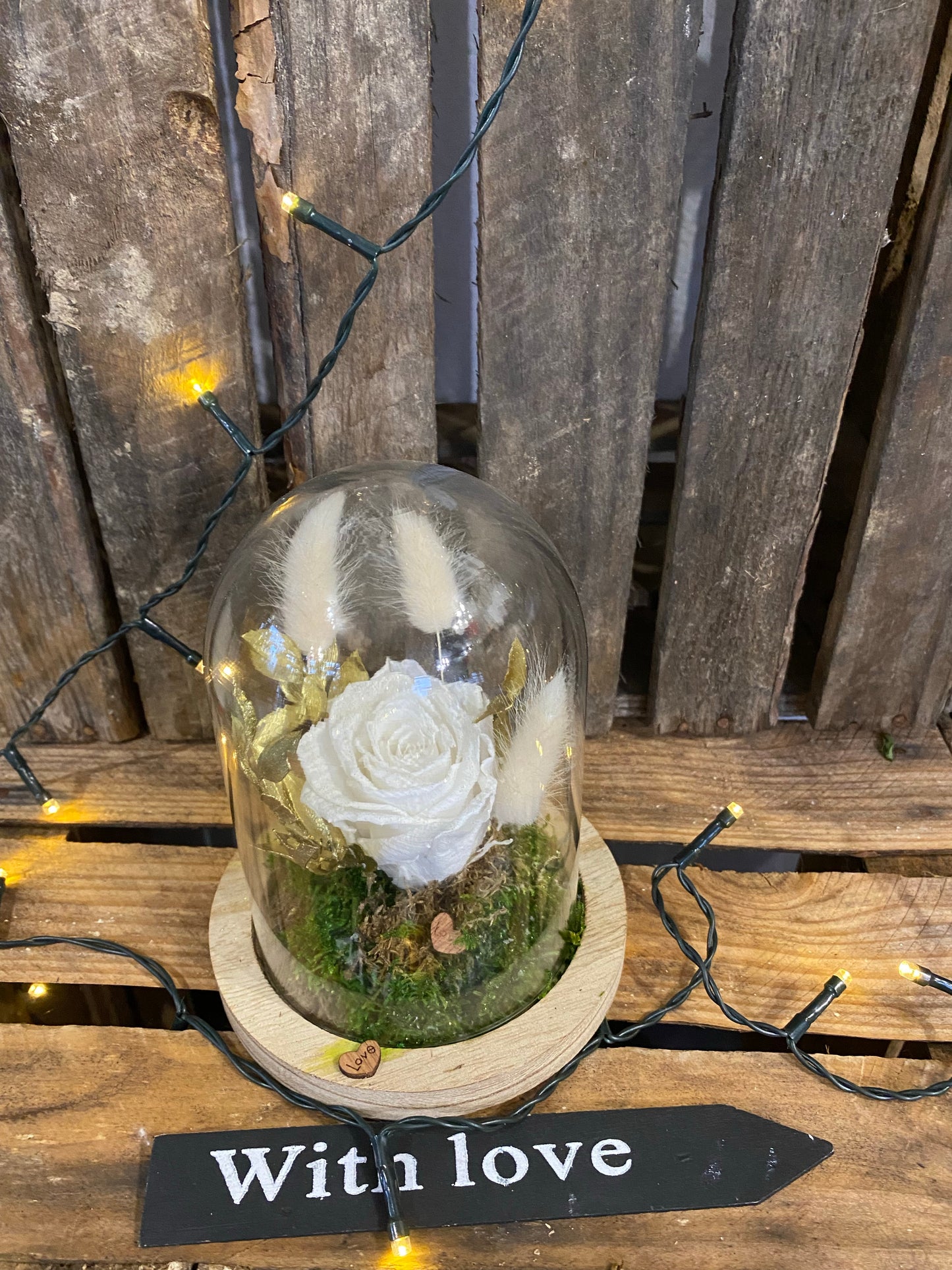 Rose éternelle sous cloche