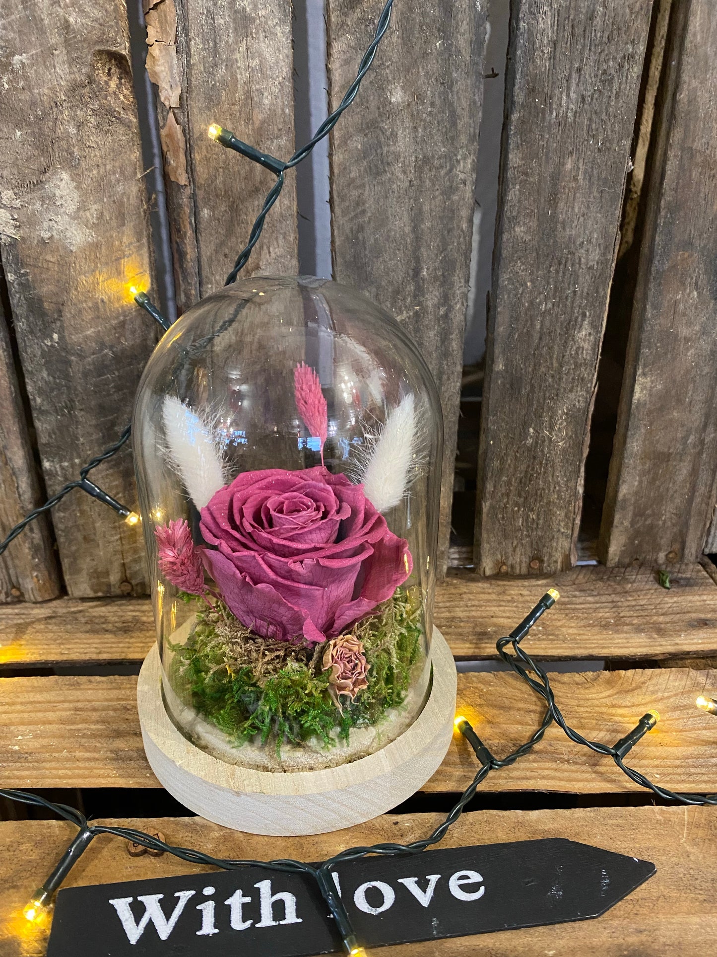Rose éternelle sous cloche