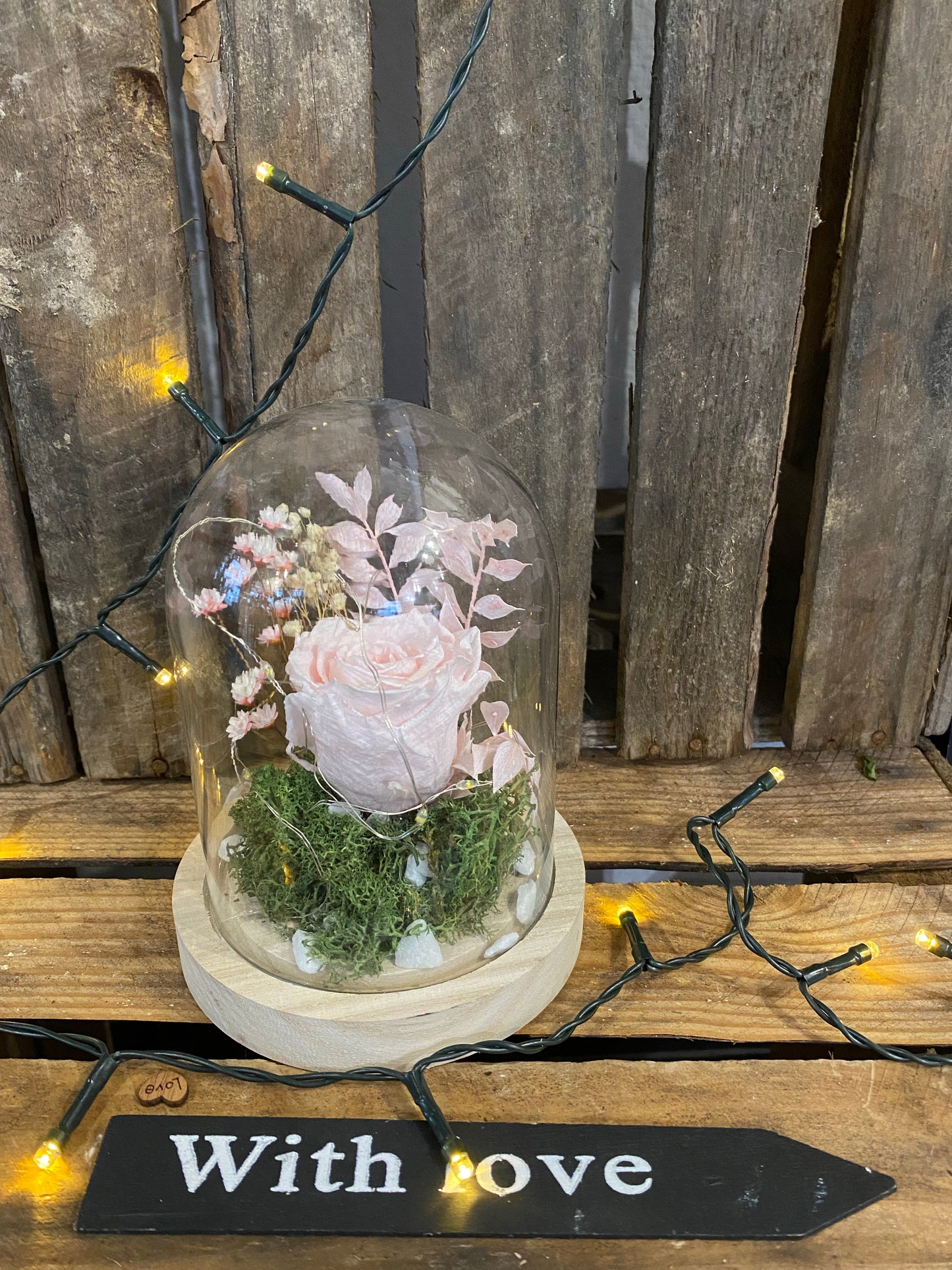 Rose éternelle sous cloche