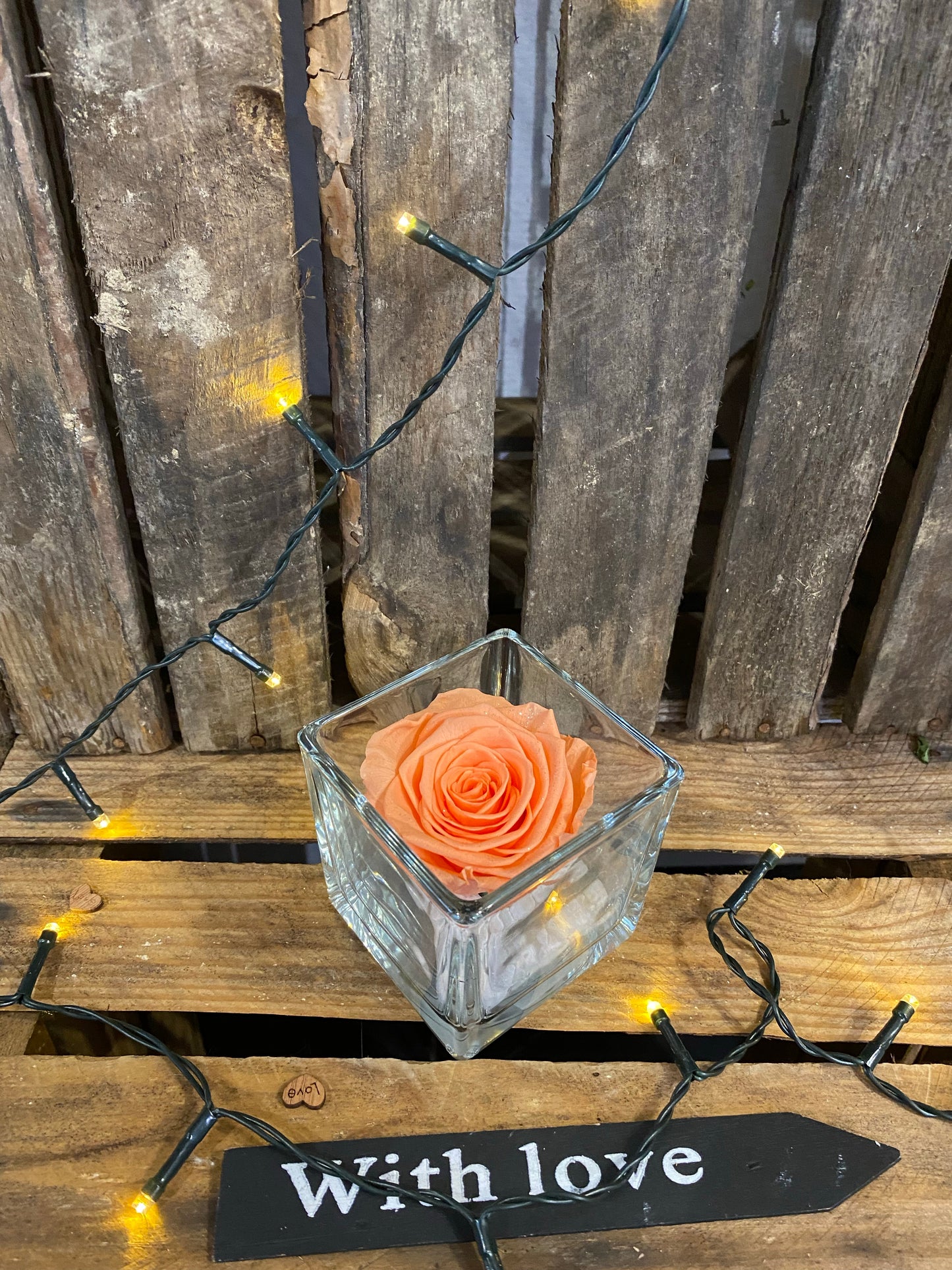 Rose éternelle