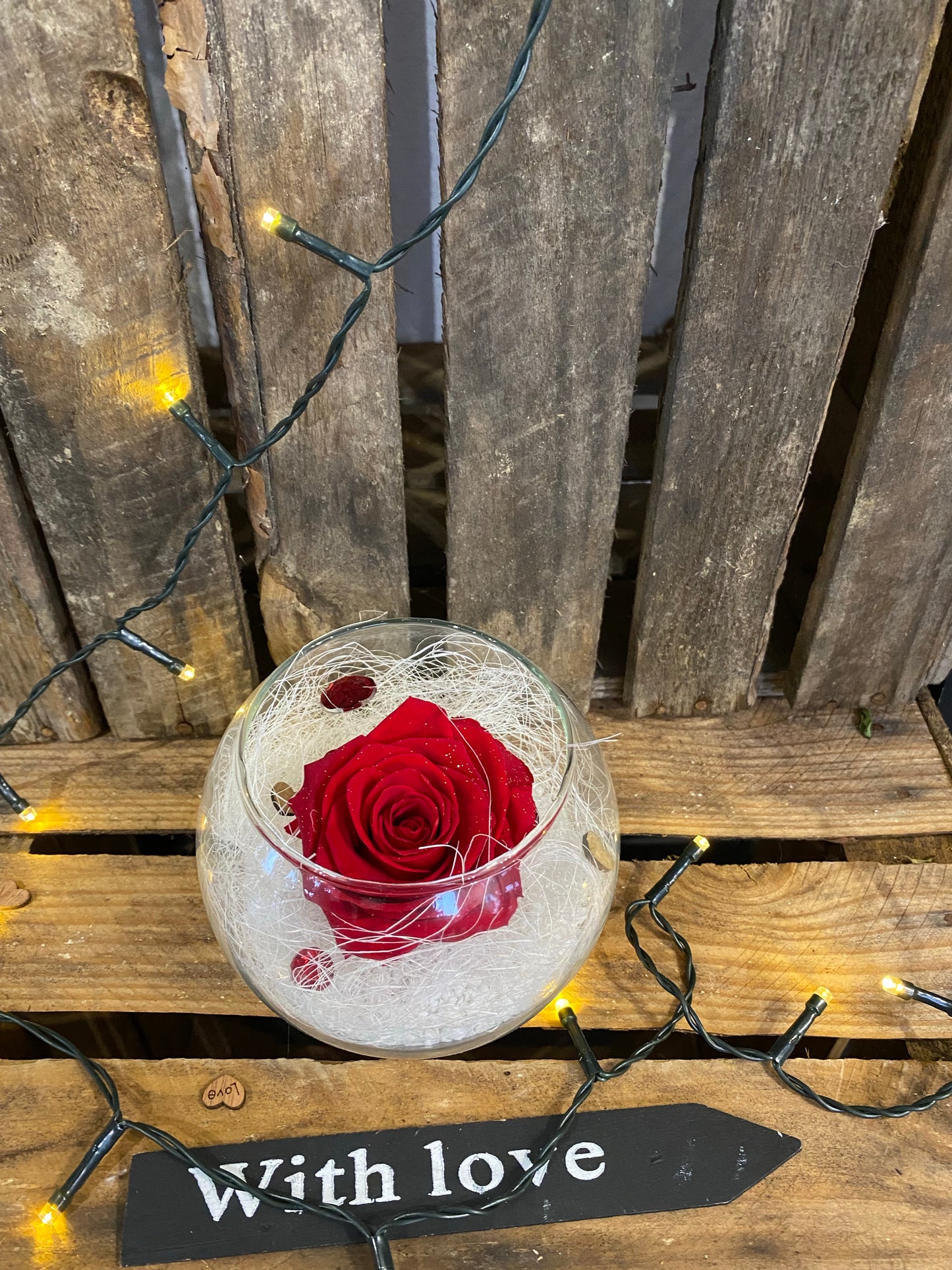 Rose éternelle