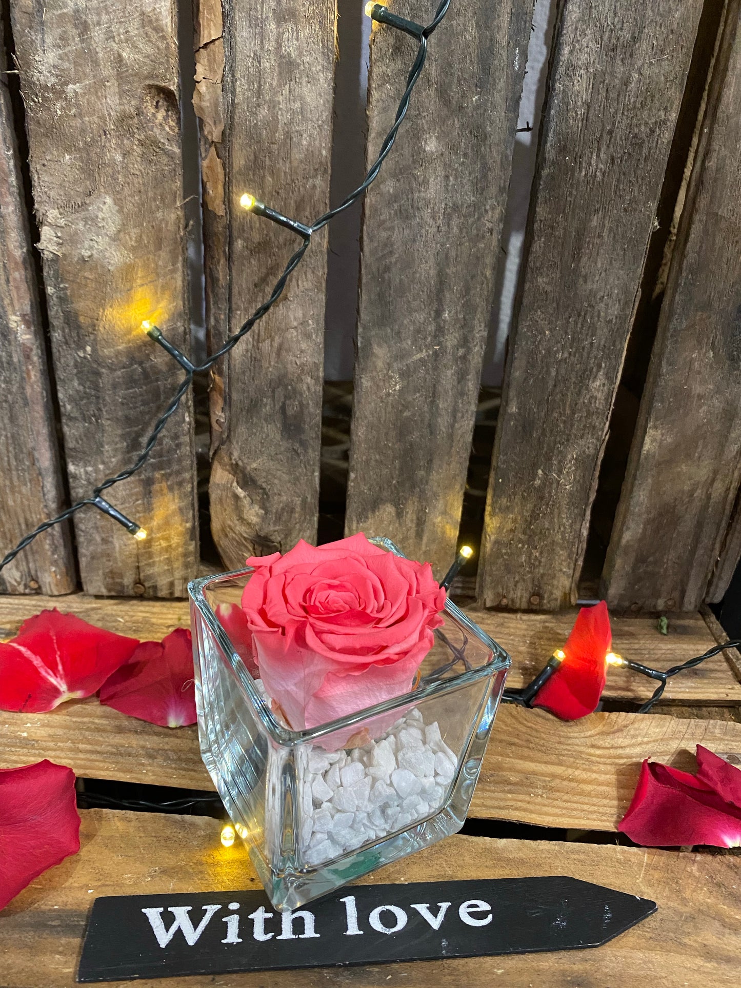Rose éternelle