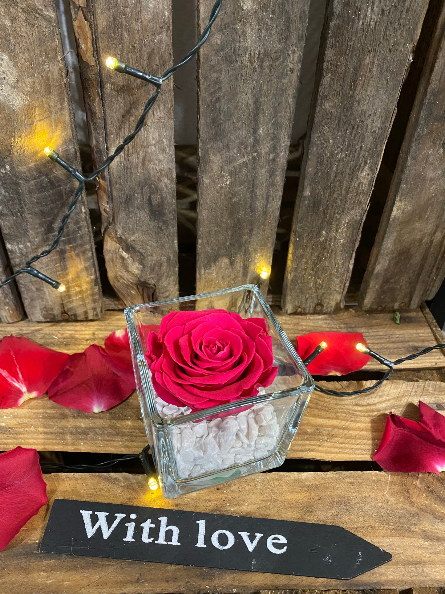 Rose éternelle