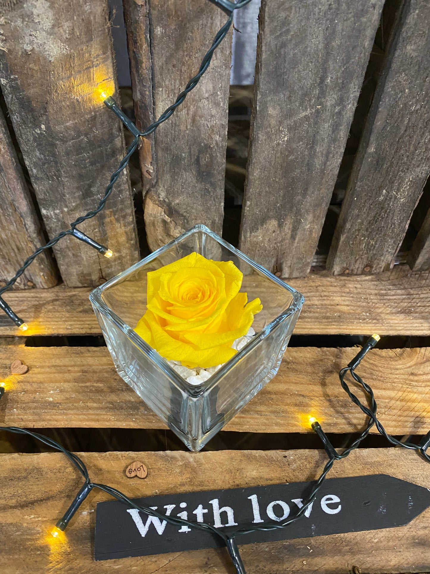 Rose éternelle