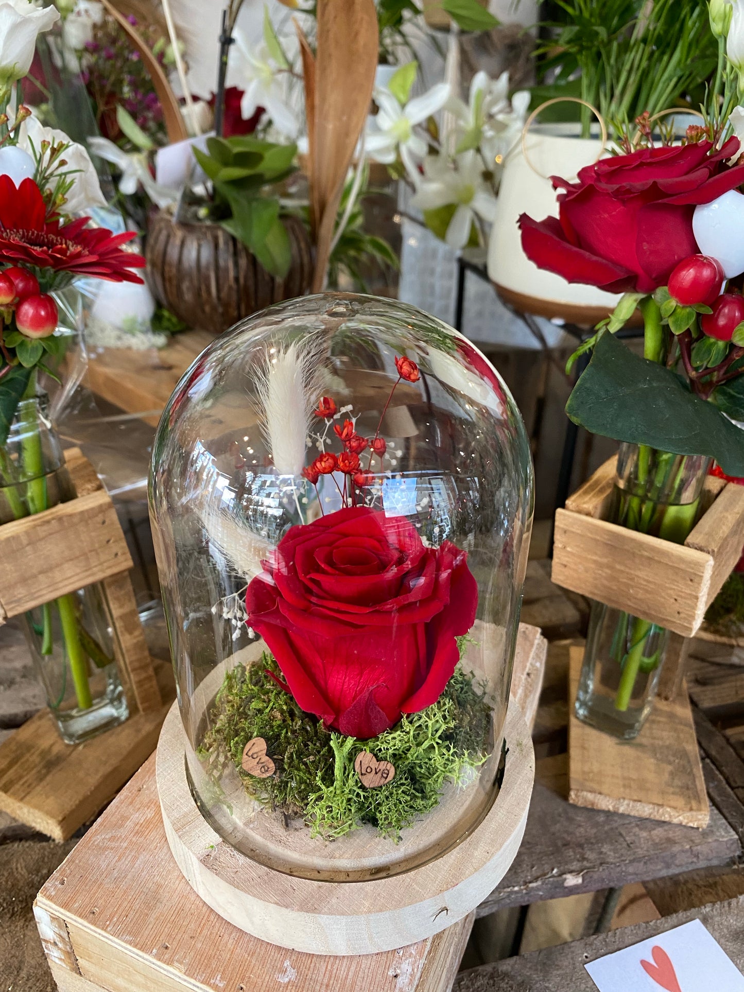 Rose éternelle rouge