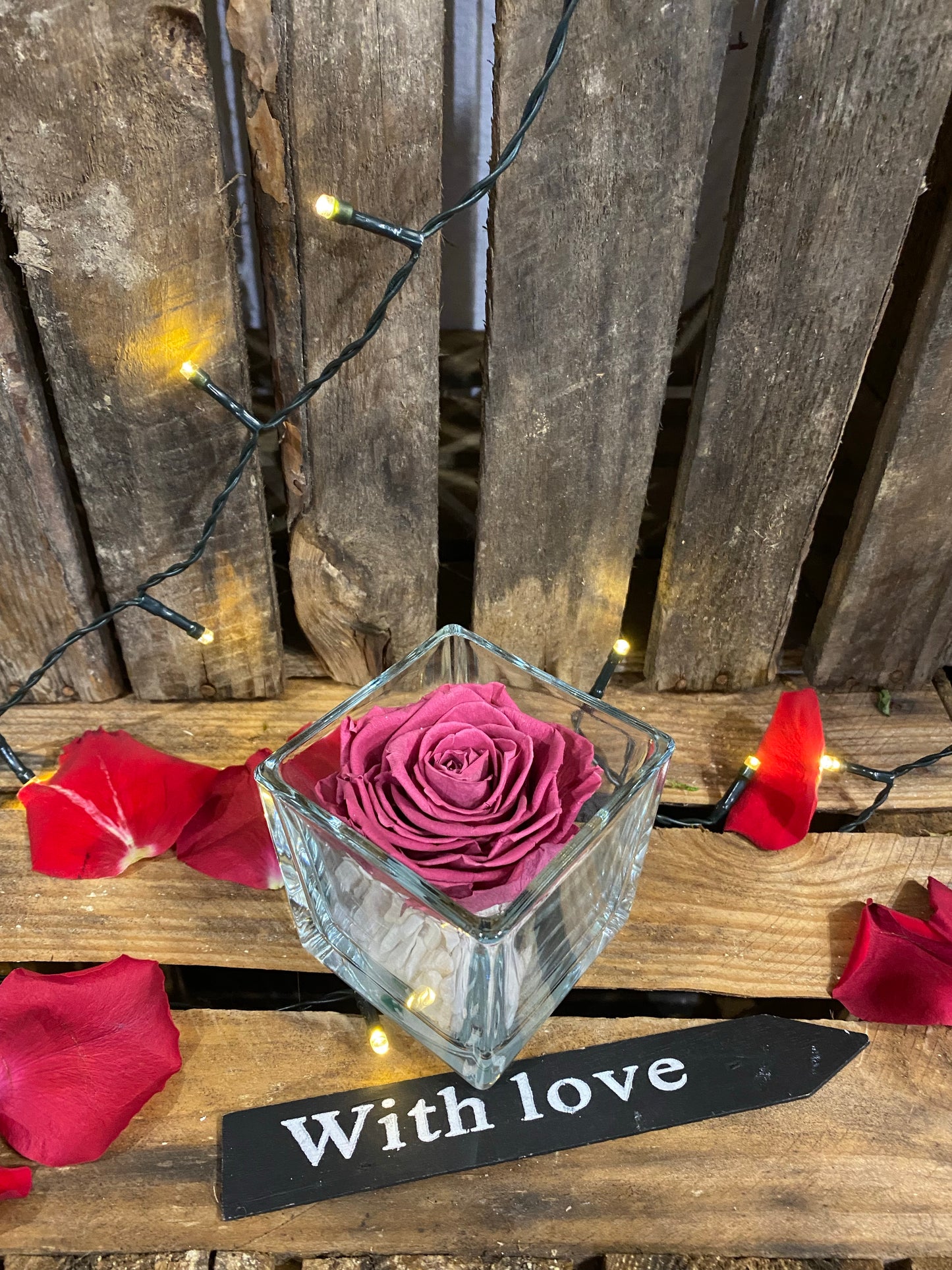 Rose éternelle