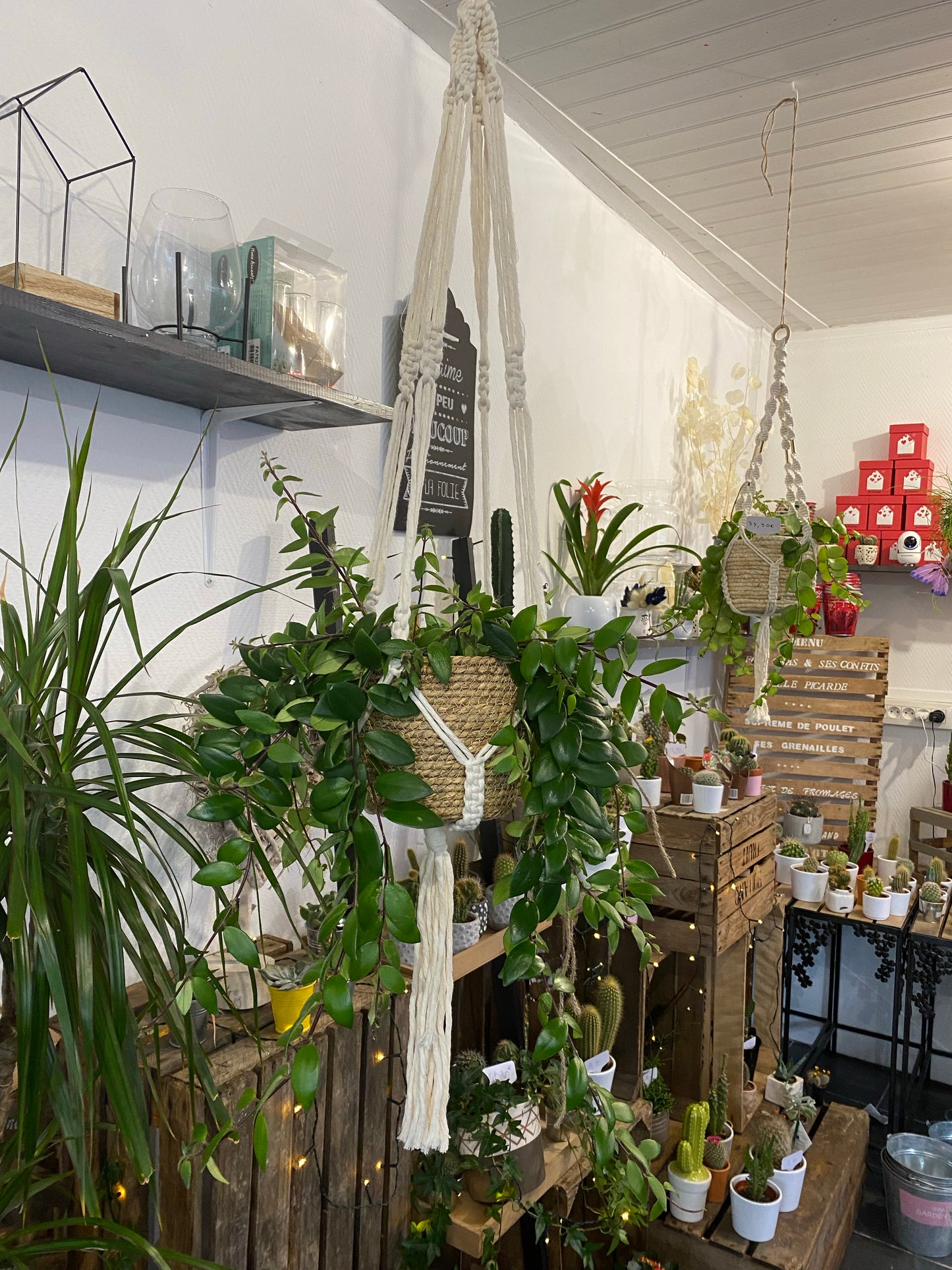 Plante suspension ensemble macramé