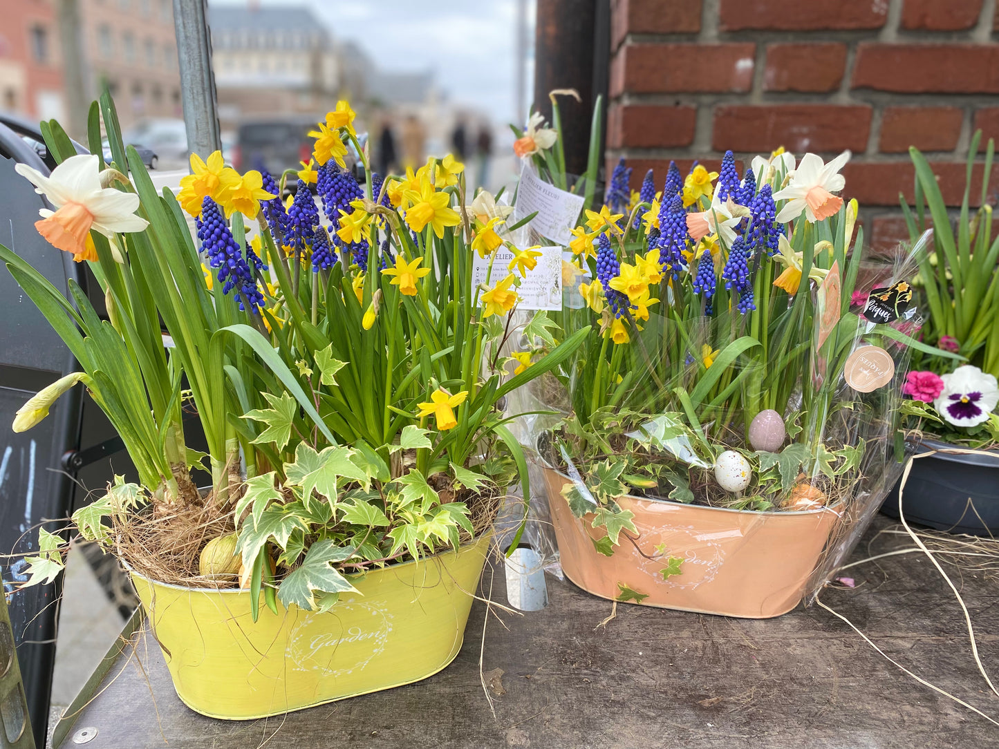 Jardinière de Pâques