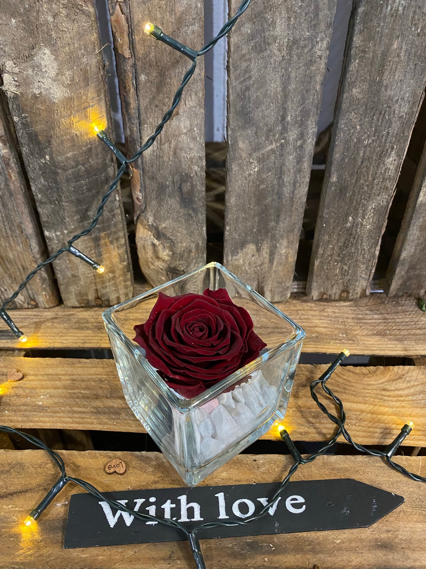 Rose éternelle