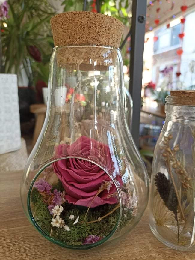 Rose éternelle