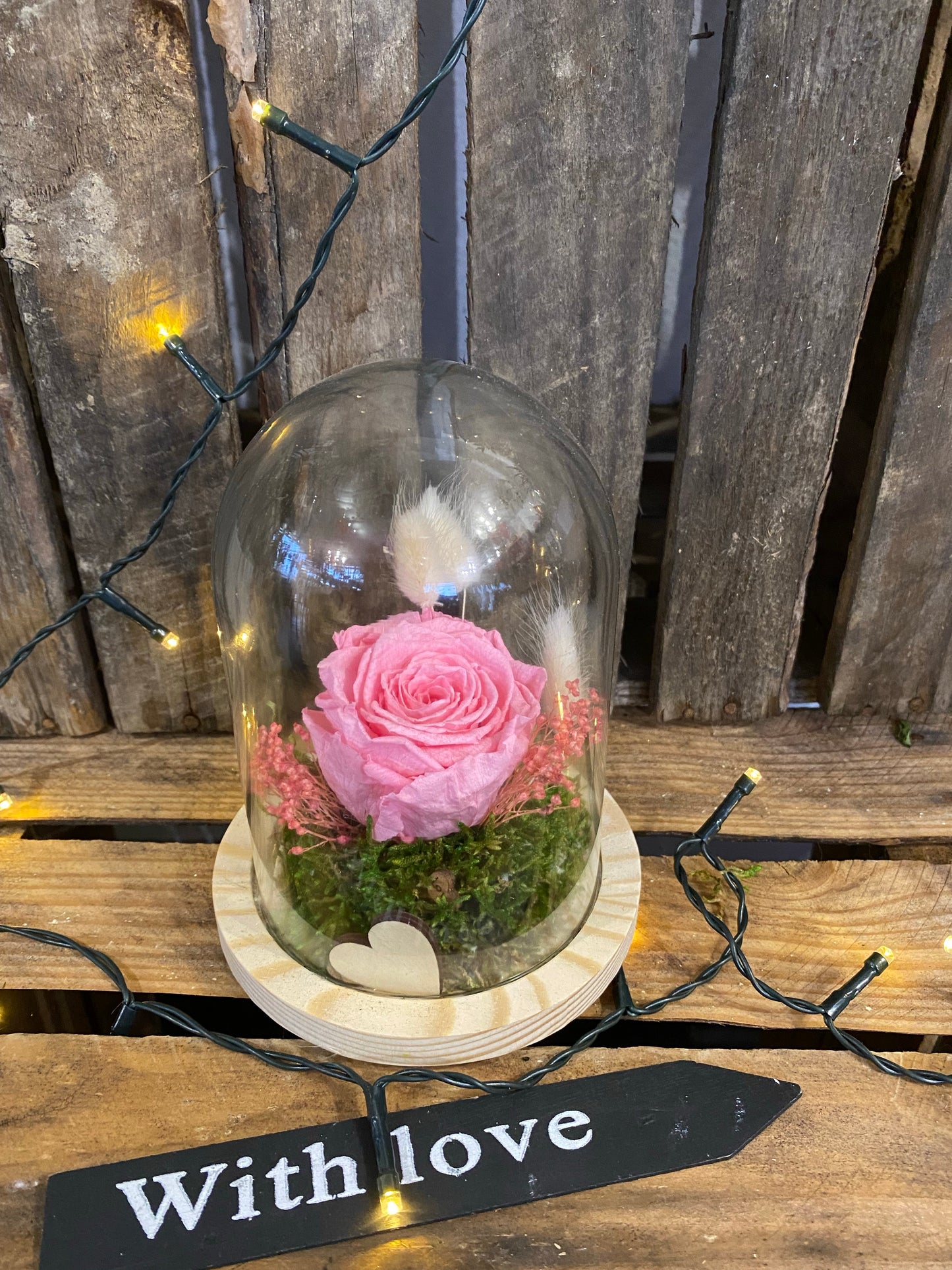Rose éternelle sous cloche
