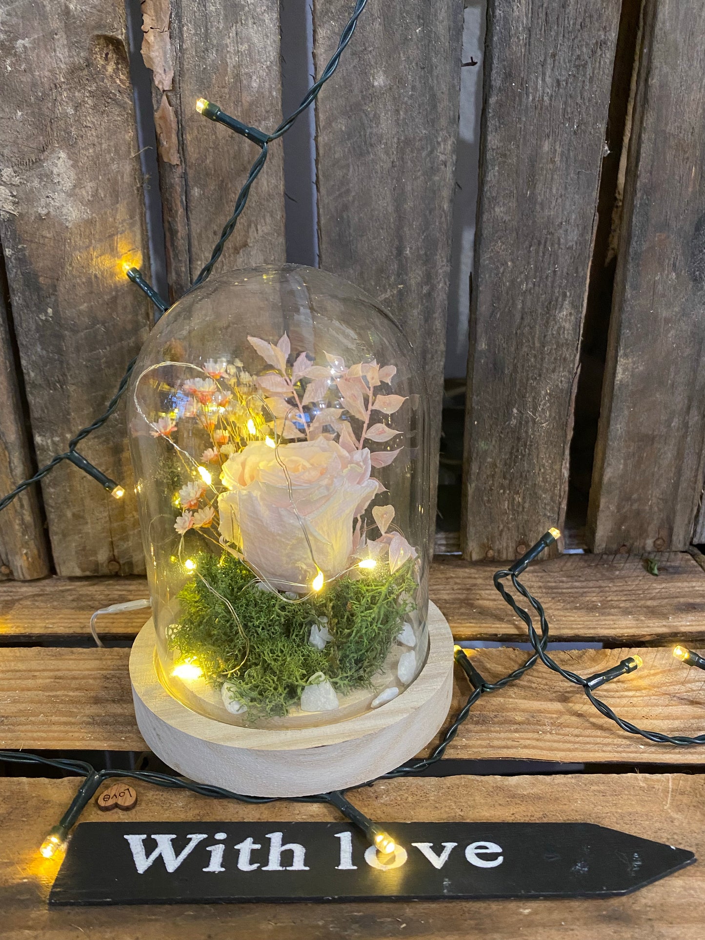 Rose éternelle sous cloche