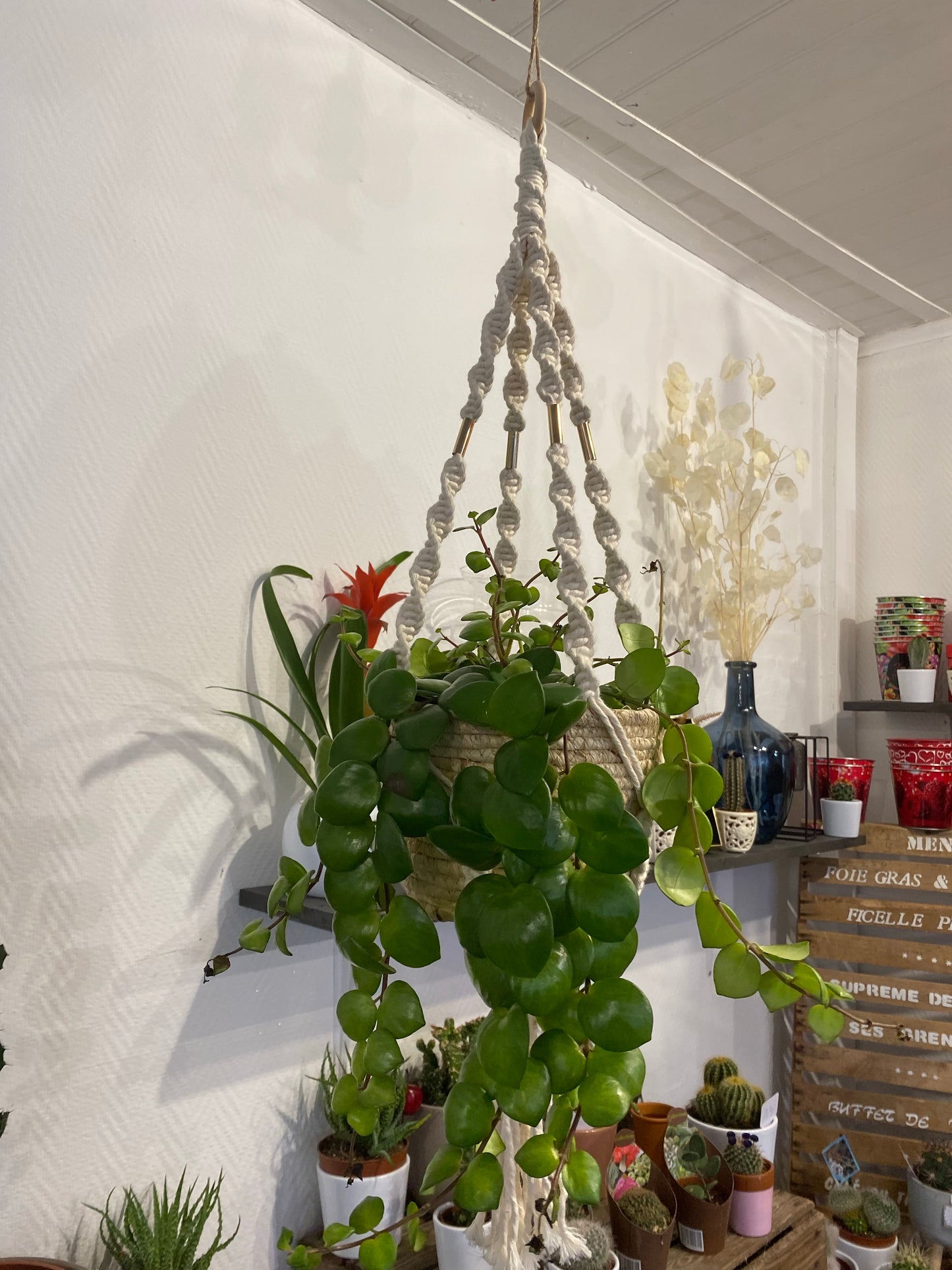 Plante suspension ensemble macramé