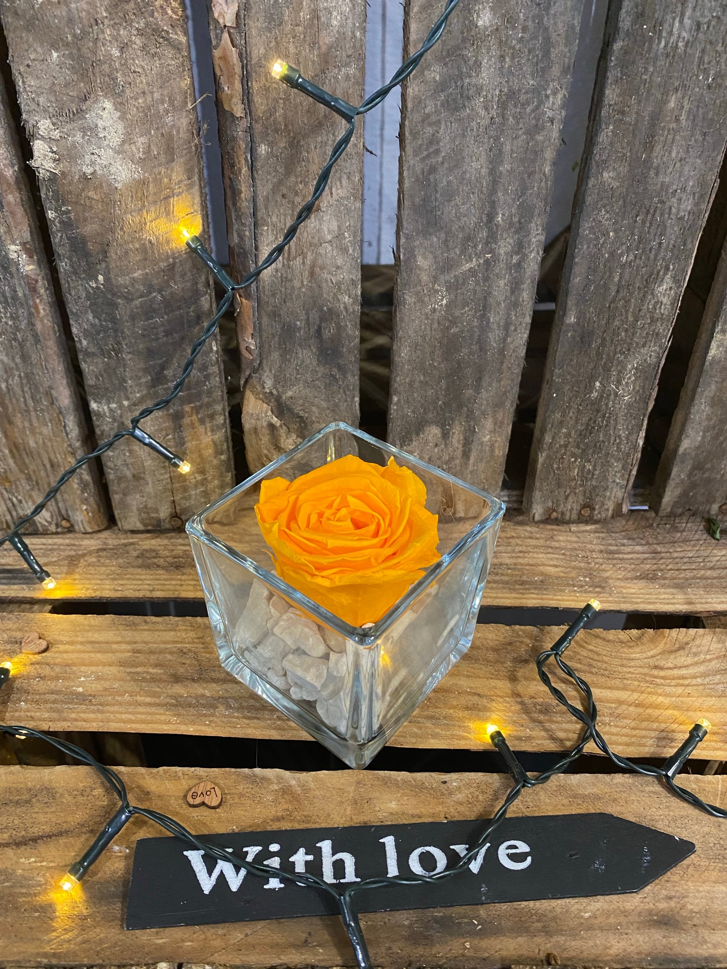 Rose éternelle