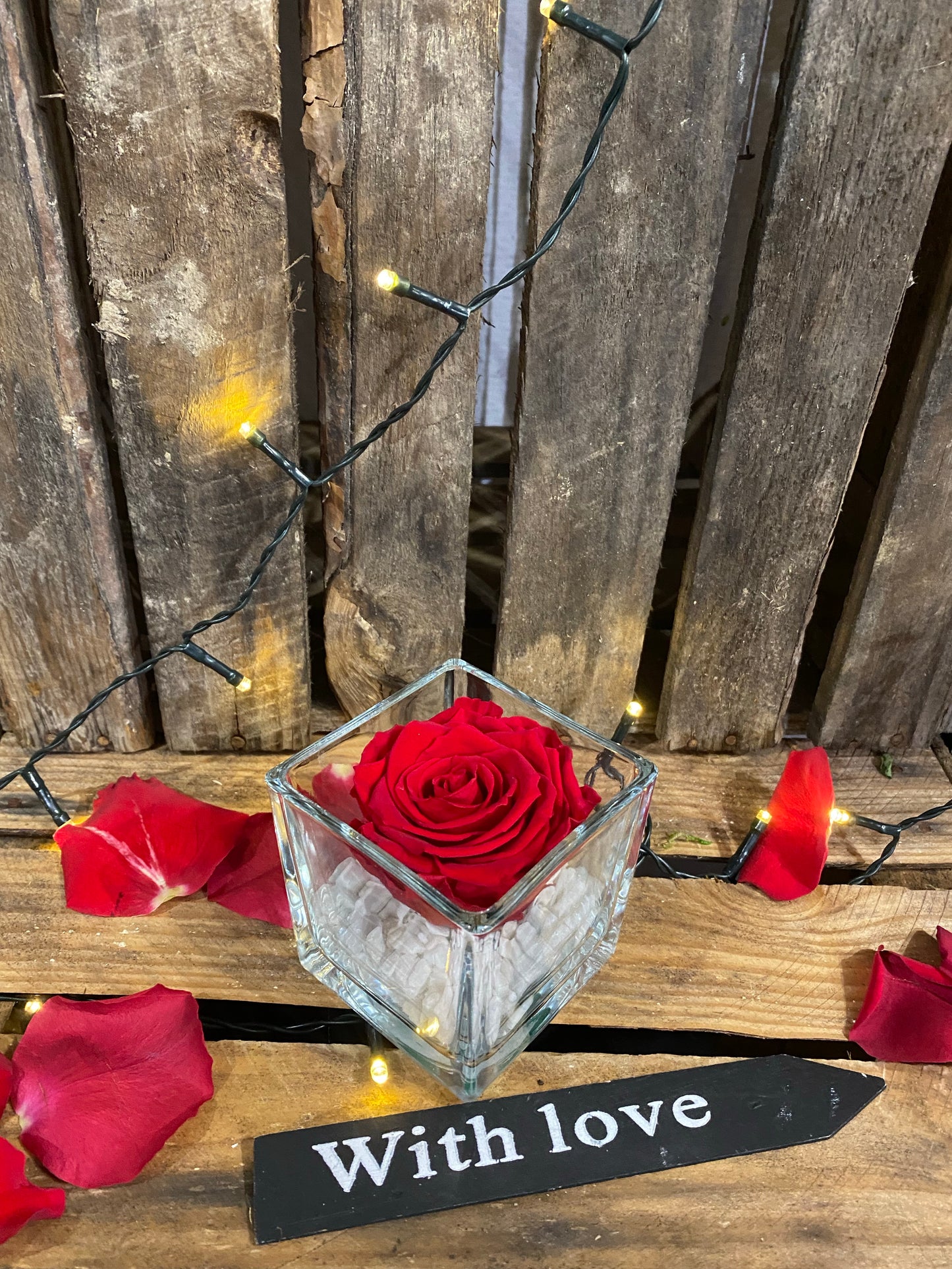 Rose éternelle