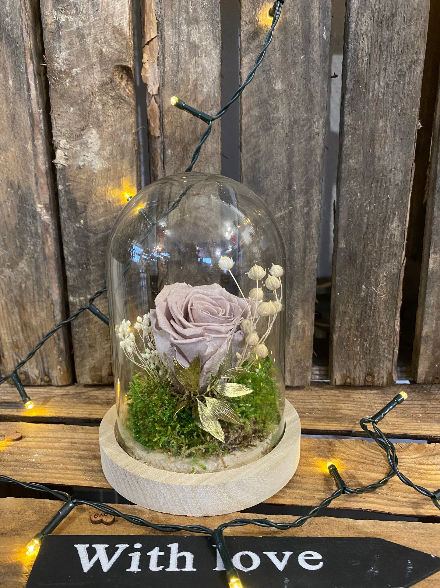 Rose éternelle sous cloche