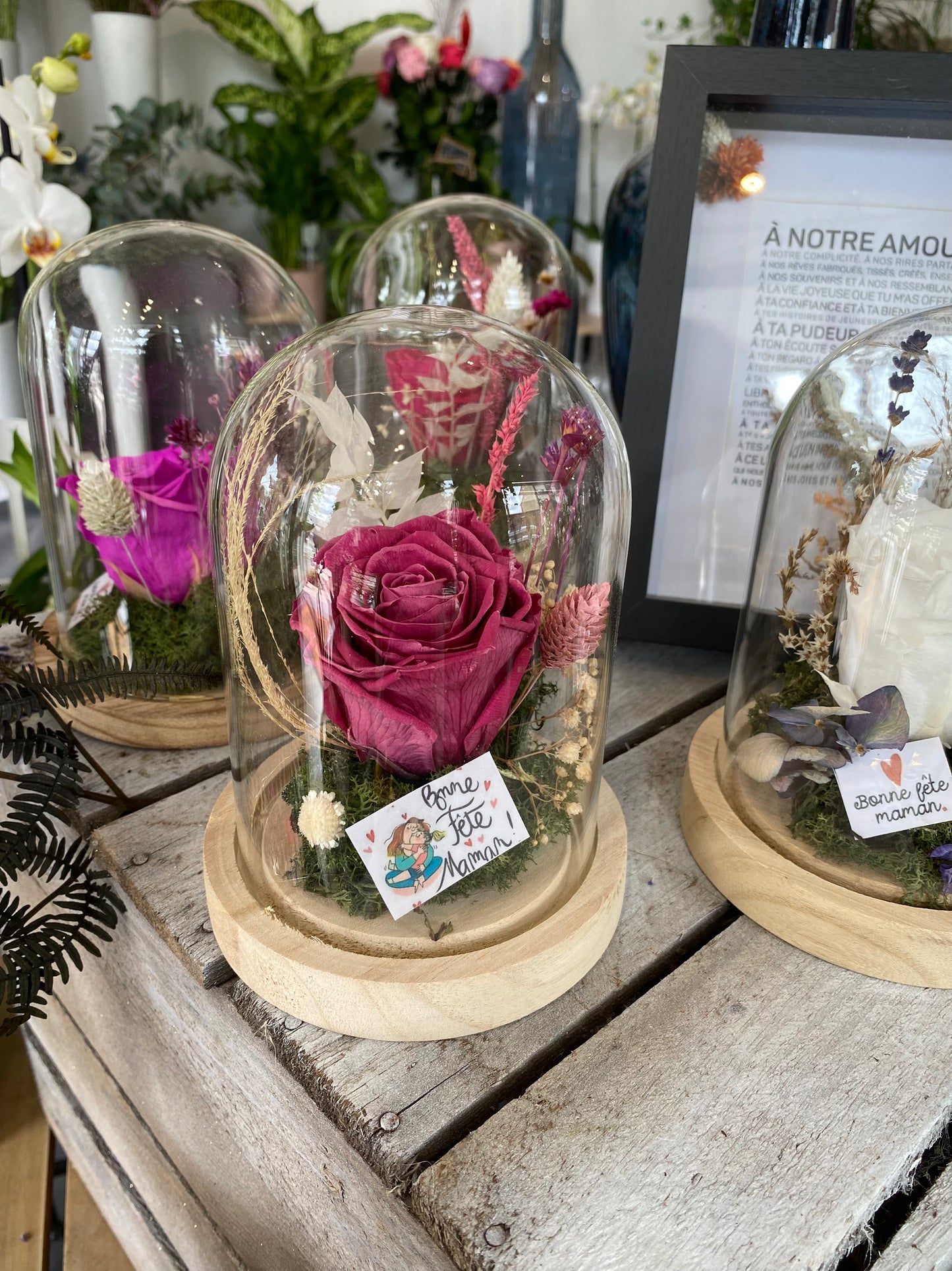 Cloche rose éternelle et fleurs séchées