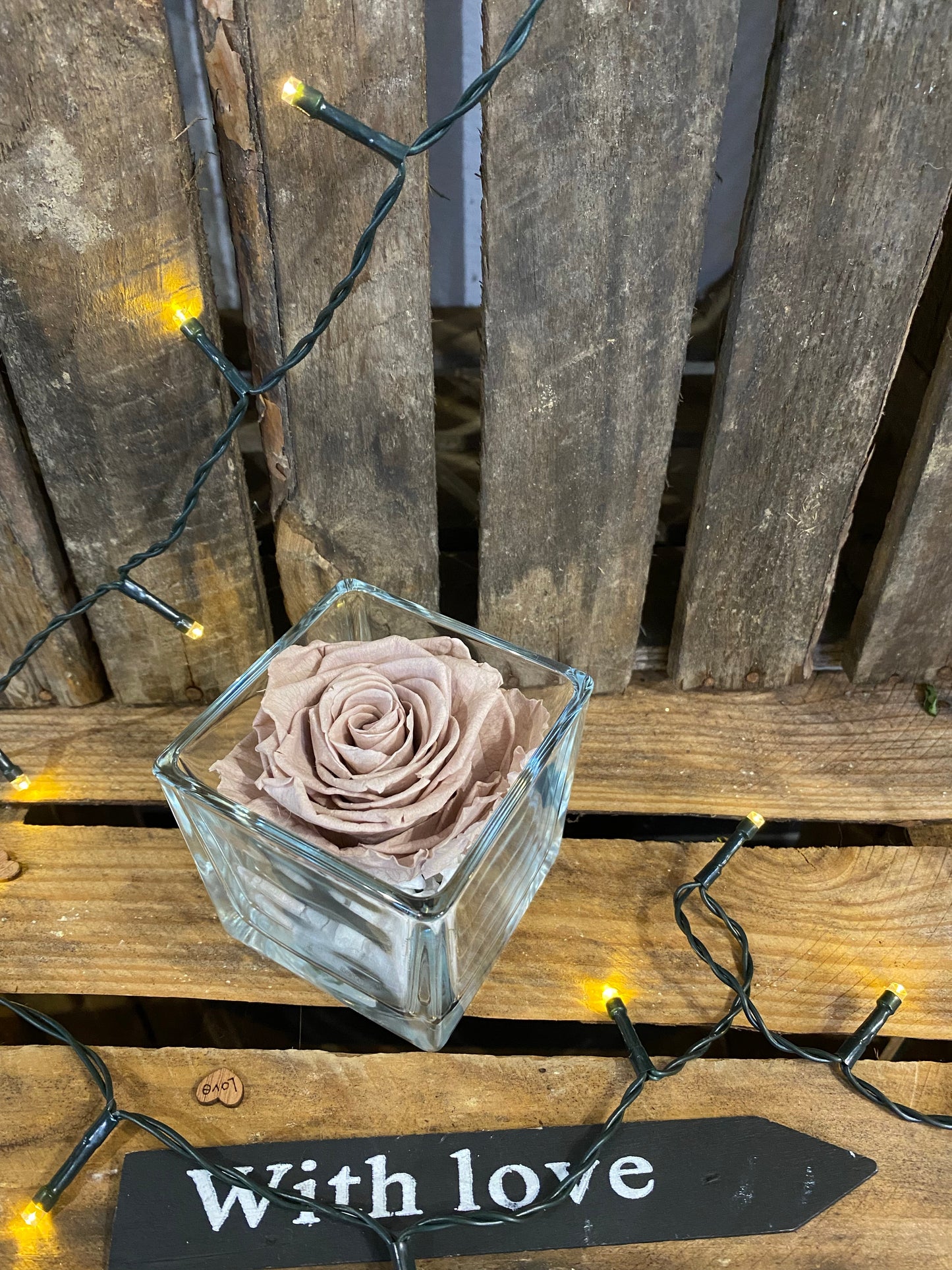Rose éternelle