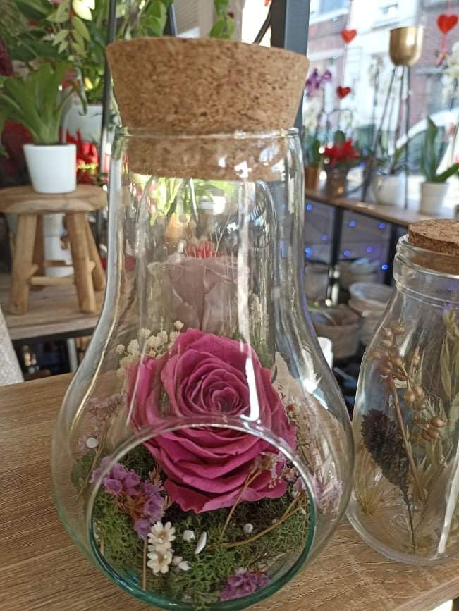 Rose éternelle