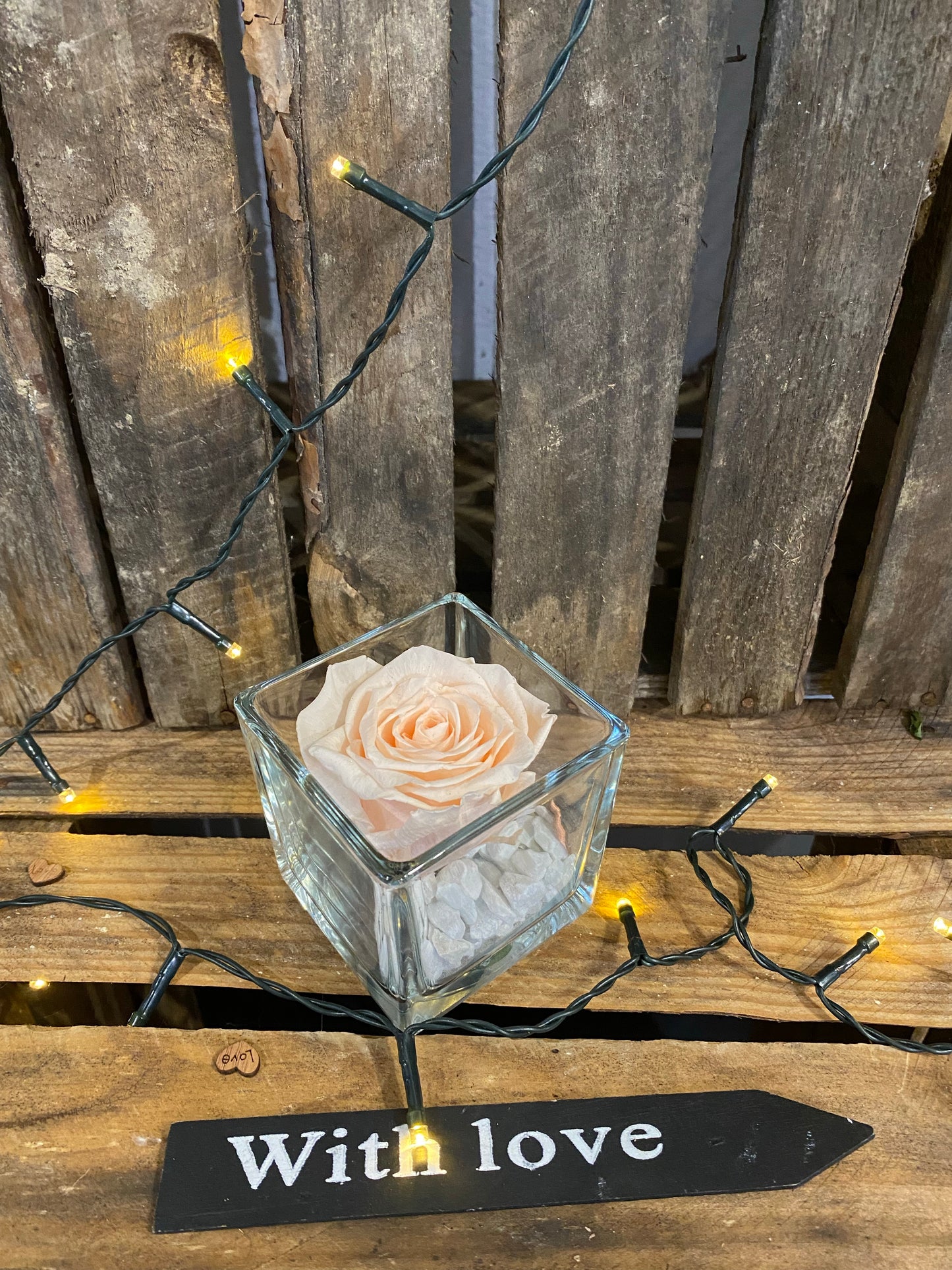 Rose éternelle