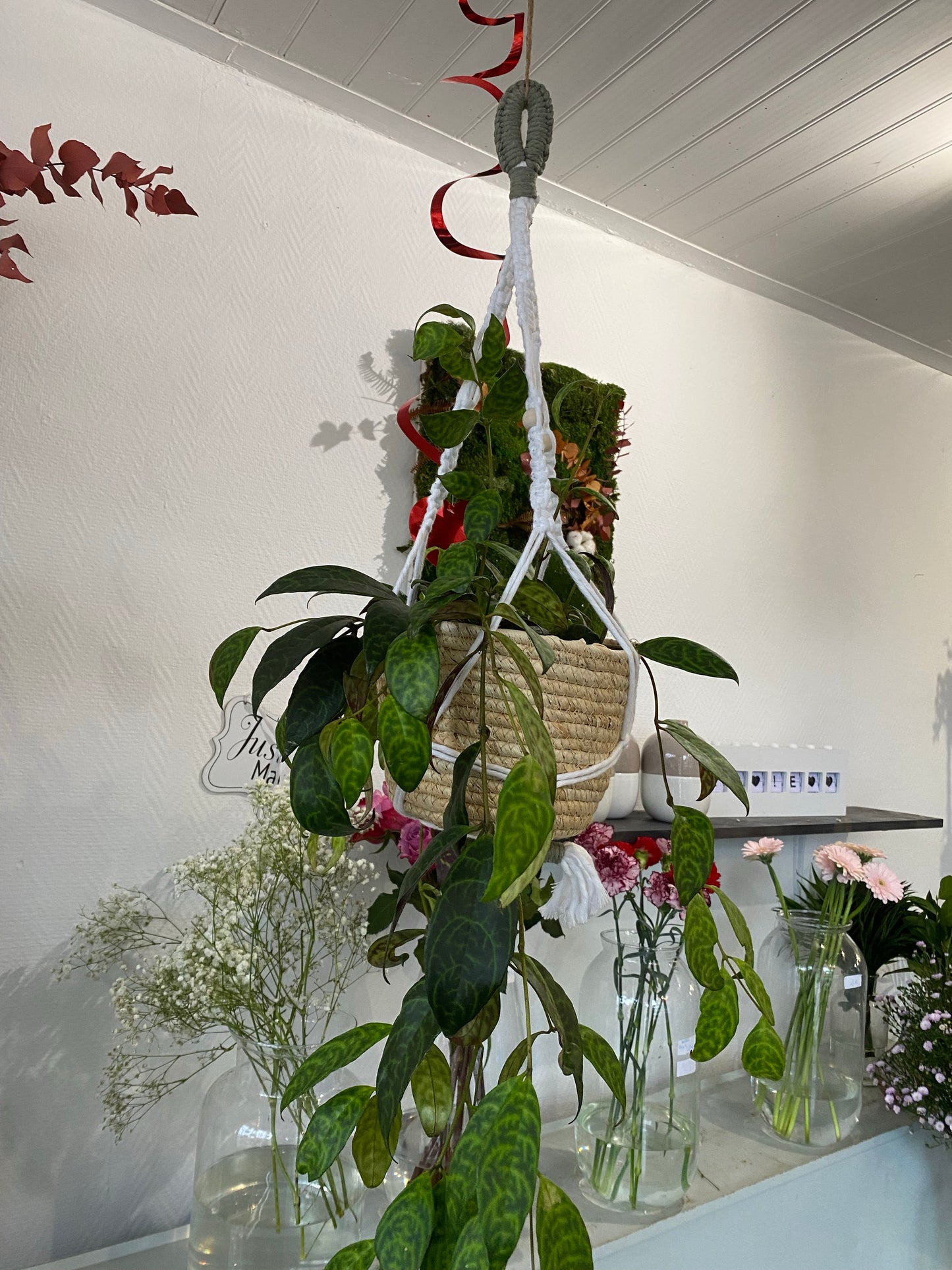 Plante suspension ensemble macramé