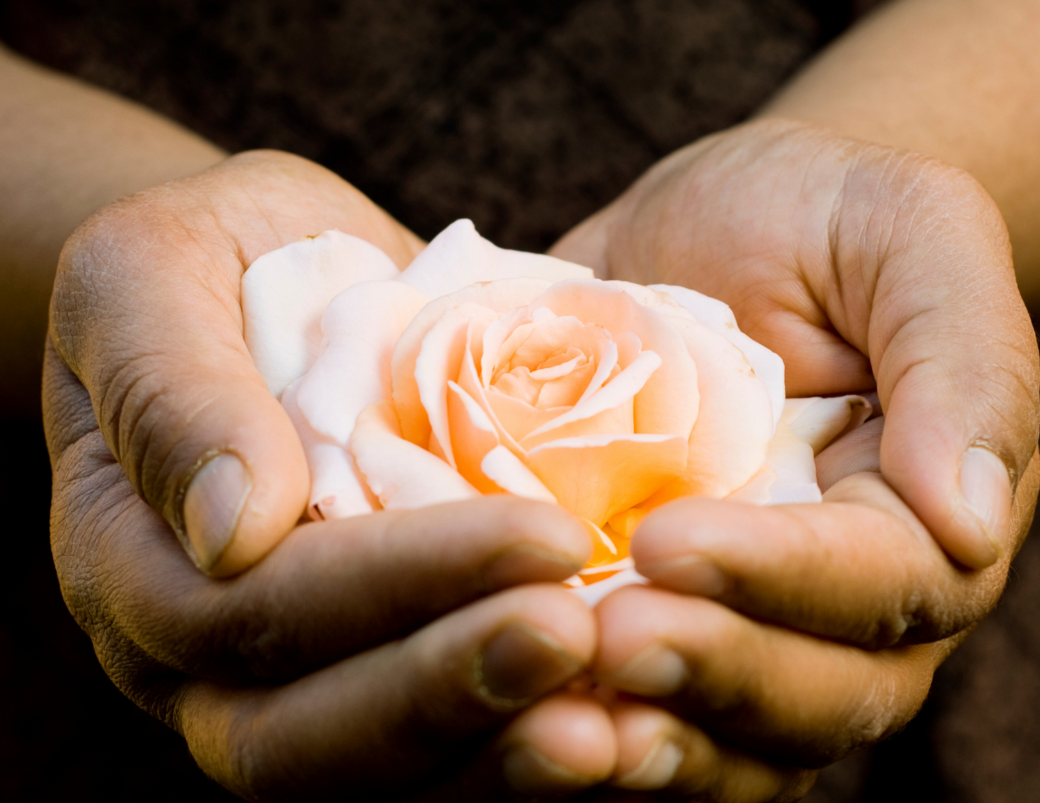 Occasions particulières