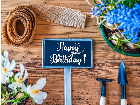 Atelier anniversaire