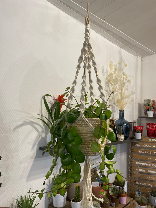 Plante suspension ensemble macramé
