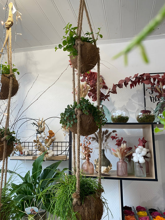 Suspension style kokedama 3 niveaux