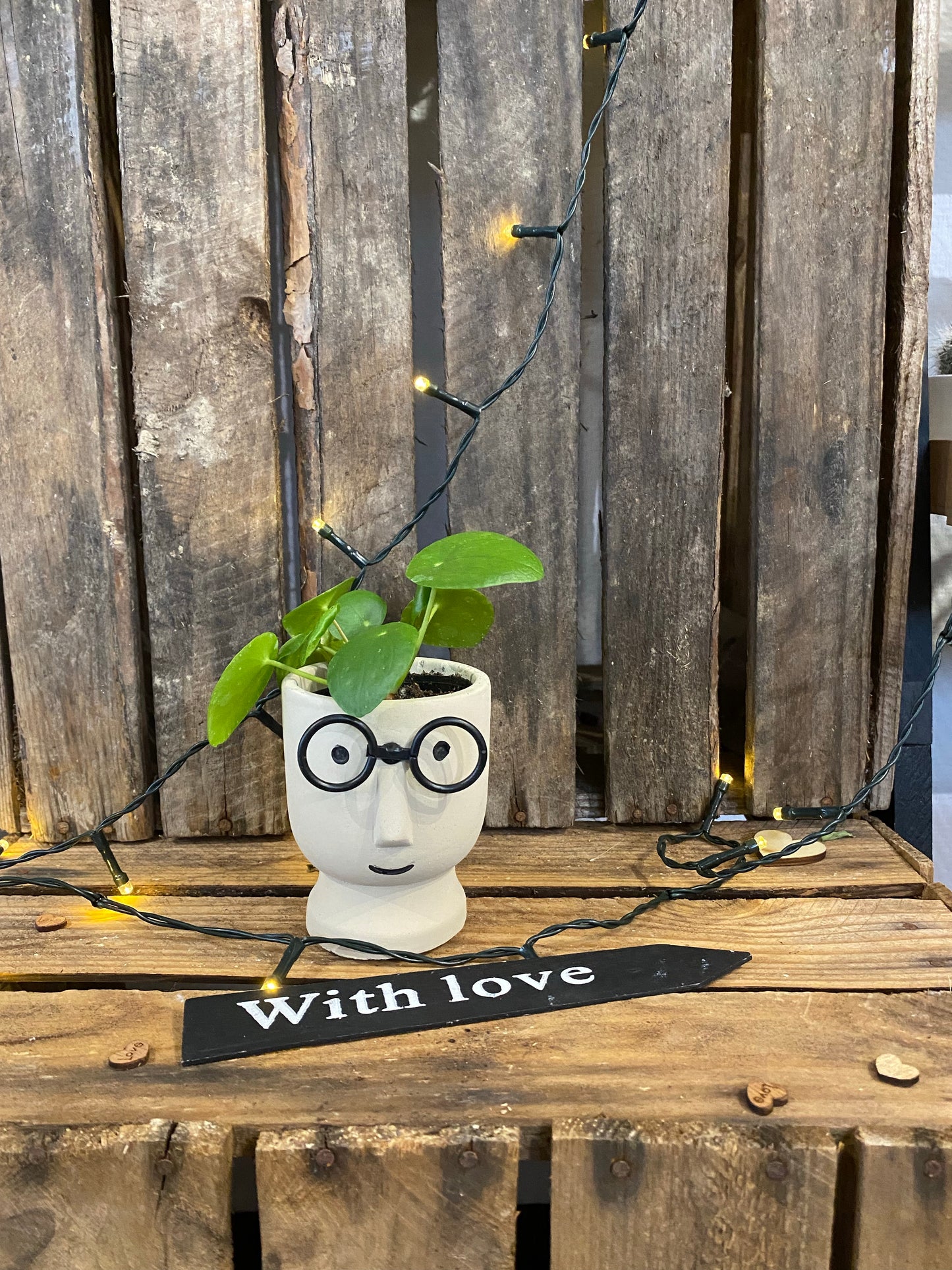Pileà avec son vase lunette