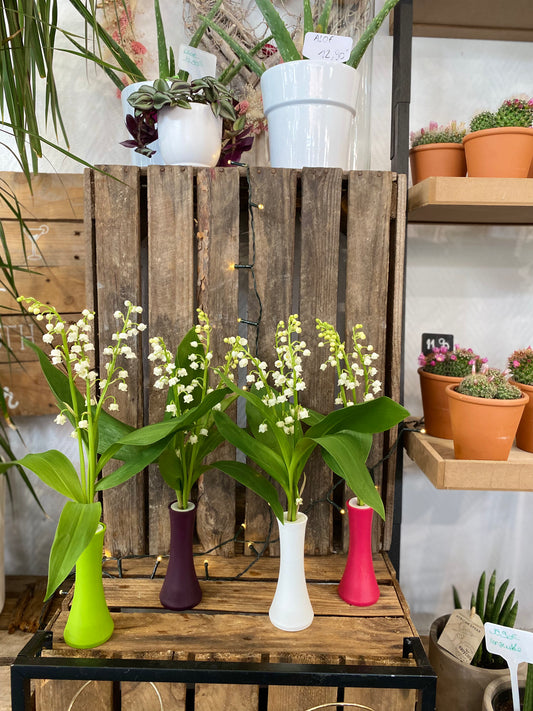 Composition muguet soliflore