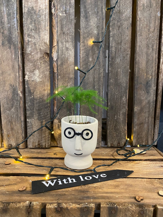 Asparagus avec son vase lunette