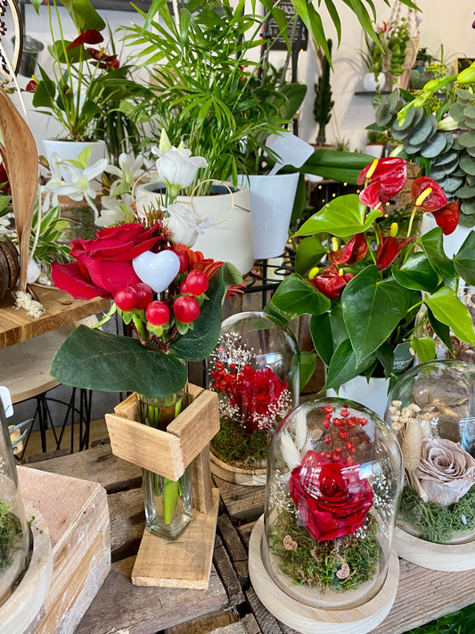 Rose éternelle rouge