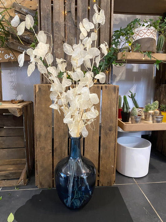 Bouquet Monnaie du pape